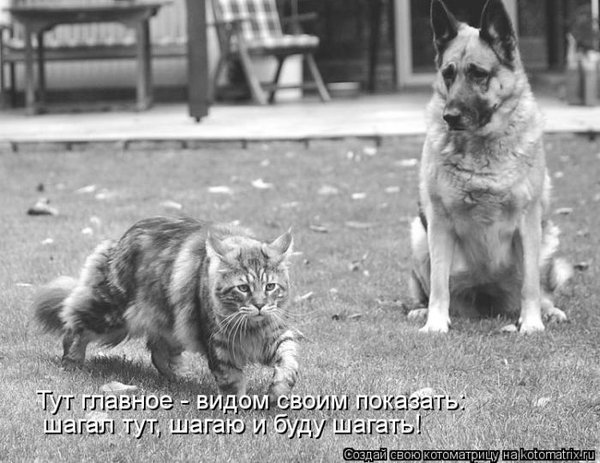 12434_133.jpg (72.2 KiB) Просмотров: 9983 12434_133.jpg