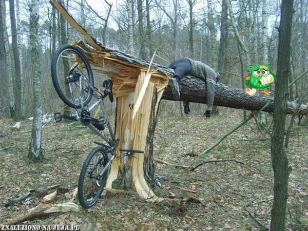 лисапет.jpg