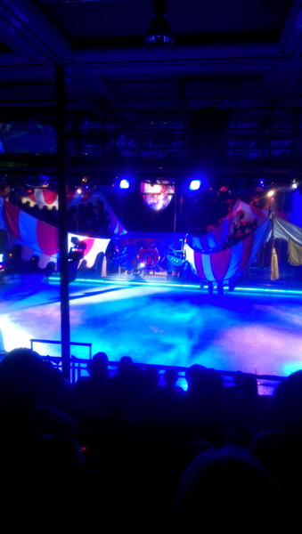 IMAG1208_новый размер.jpg