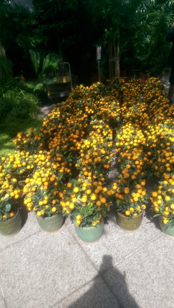 IMAG1084_новый размер.jpg