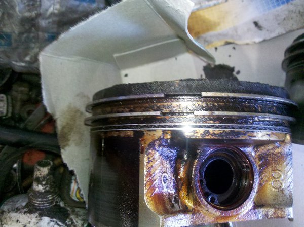 IMG_20150602_102313c.jpg (198.8 KiB) Просмотров: 3837 IMG_20150602_102313c.jpg