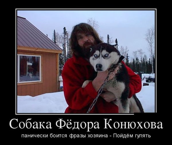 Собака.jpg