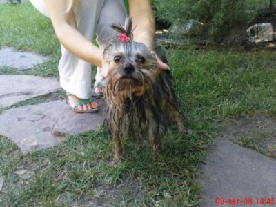 Варька не заметила фонтан.JPG (34.52 KiB) Просмотров: 2752 Варька не заметила фонтан.JPG