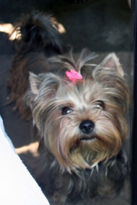 IMG_2209.jpg (55.64 KiB) Просмотров: 2749 IMG_2209.jpg