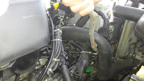20160620_164915.jpg