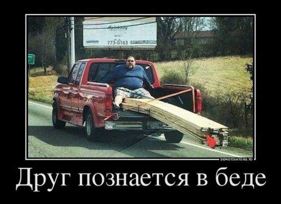 1469198545_demotivatory9.jpg
