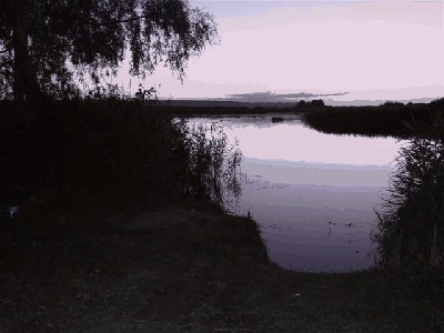 Изображение 021.jpg