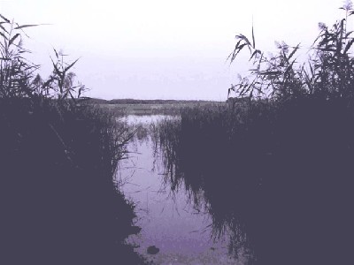 Изображение 011.jpg