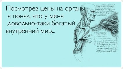 14129830748.jpg