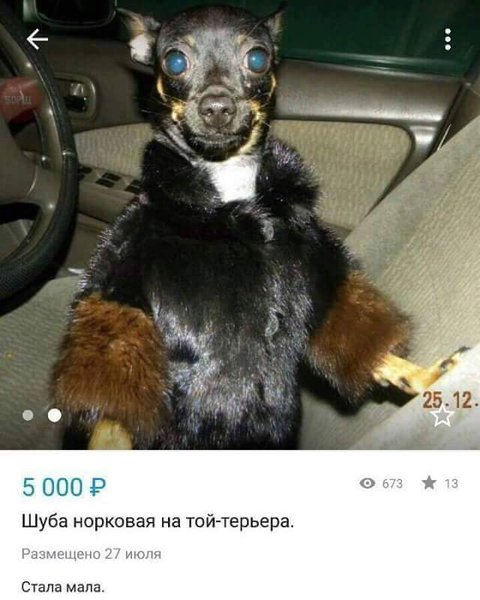 FB_IMG_1485291977858.jpg