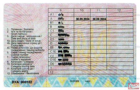 driver_licence_02.jpg