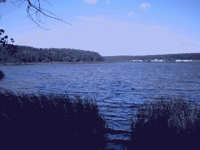 P9090029_resize.JPG (99.54 KiB) Просмотров: 2092 P9090029_resize.JPG