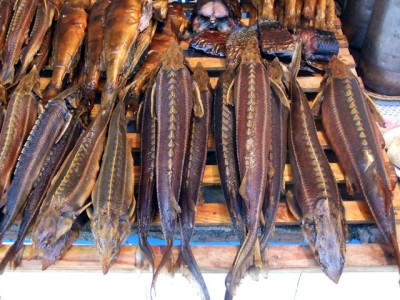 2.JPG (193.7 KiB) Просмотров: 2776 2.JPG