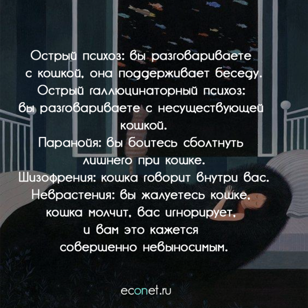 22552390_1483039051773998_3346621966848465610_n.png (775.75 KiB) Просмотров: 3396 22552390_1483039051773998_3346621966848465610_n.png