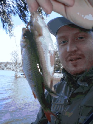 P9090156_resize.JPG (60.66 KiB) Просмотров: 2100 P9090156_resize.JPG