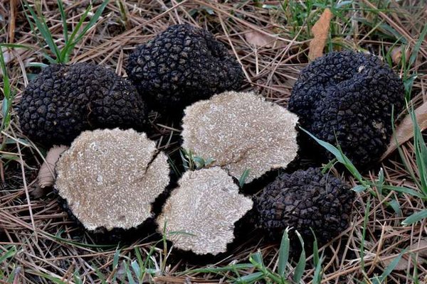 95_main.jpg (75.11 KiB) Просмотров: 3099 95_main.jpg