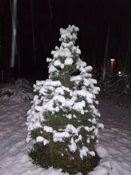 IMG_20180104_211308.jpg (1.31 MiB) Просмотров: 1132 IMG_20180104_211308.jpg