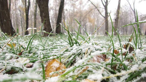 52_main.jpeg (70.15 KiB) Просмотров: 875 52_main.jpeg