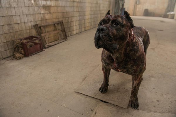 src_1511791430unchained.jpeg (95.84 KiB) Просмотров: 4239 src_1511791430unchained.jpeg