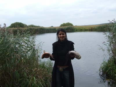 карась (1).jpg (192.72 KiB) Просмотров: 2300 карась (1).jpg