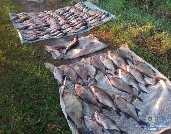 1525270942_31723279_1727915887263576_4191924674017361920_n.jpg (134.44 KiB) Просмотров: 5465 1525270942_31723279_1727915887263576_4191924674017361920_n.jpg