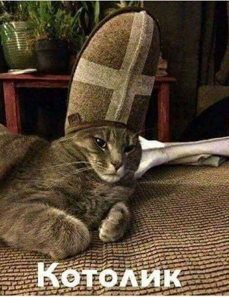 33184001_1075215472631345_2300900747396513792_n.jpg (101.26 KiB) Просмотров: 1705 33184001_1075215472631345_2300900747396513792_n.jpg