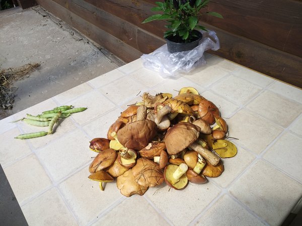 IMG_20180707_142939.jpg (4.52 MiB) Просмотров: 2789 IMG_20180707_142939.jpg