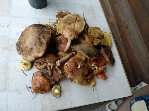 IMG_20180711_123031.jpg (3.82 MiB) Просмотров: 2739 IMG_20180711_123031.jpg