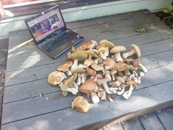 IMG_20180801_164447.jpg (1.57 MiB) Просмотров: 4561 IMG_20180801_164447.jpg