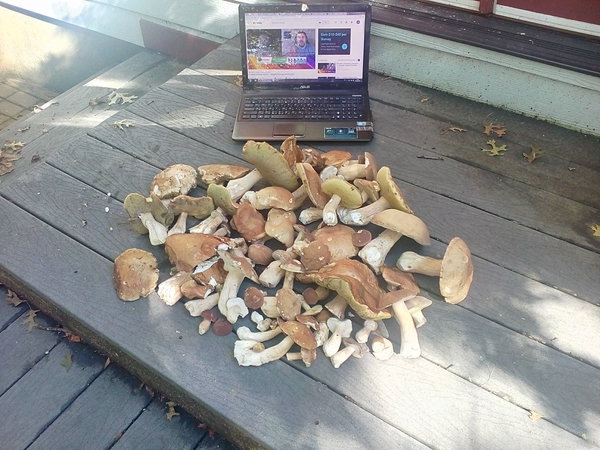 IMG_20180801_164402.jpg (1.62 MiB) Просмотров: 4561 IMG_20180801_164402.jpg