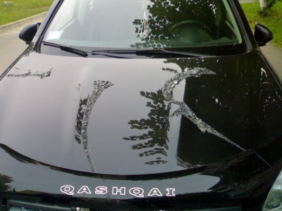 Qashqai2.jpg