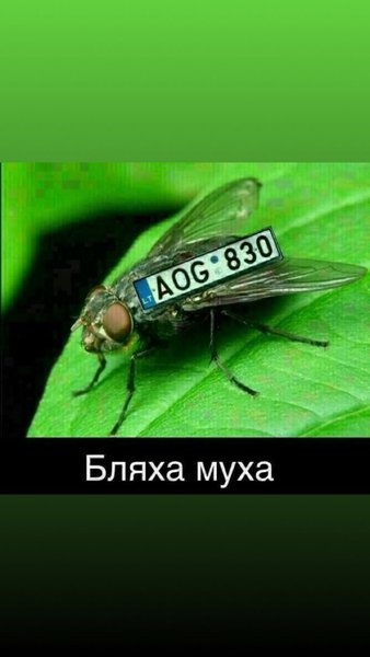 IMG-23c6fd6ccf62075d60dd418ab2cb87a3-V.jpg (97.03 KiB) Просмотров: 3155 IMG-23c6fd6ccf62075d60dd418ab2cb87a3-V.jpg