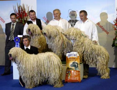 рп.jpg (31.33 KiB) Просмотров: 1380 рп.jpg