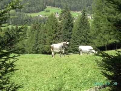 Италия 047.jpg (139.49 KiB) Просмотров: 2588 Италия 047.jpg