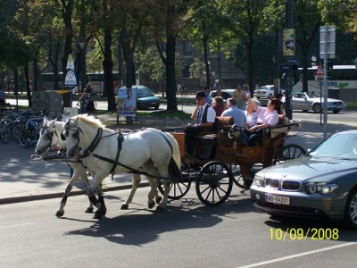 100_2307.JPG (130.69 KiB) Просмотров: 2588 100_2307.JPG