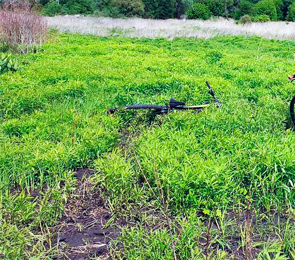 bike_trek.jpg (3.24 MiB) Просмотров: 578 bike_trek.jpg