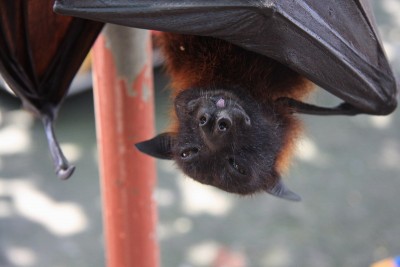 otdih.jpg (98.75 KiB) Просмотров: 2423 otdih.jpg