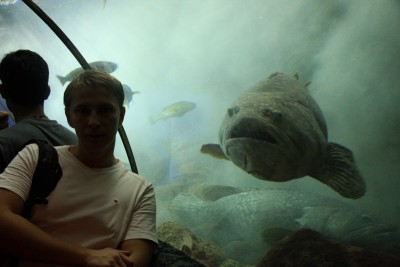 rib.jpg (92.53 KiB) Просмотров: 2424 rib.jpg