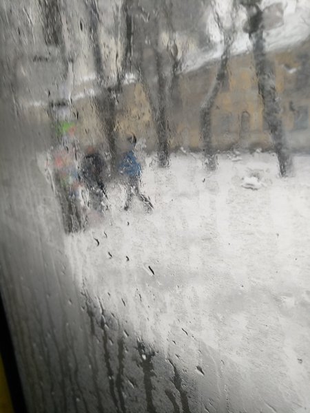 IMG_20201223_113120.jpg (1.4 MiB) Просмотров: 2619 IMG_20201223_113120.jpg