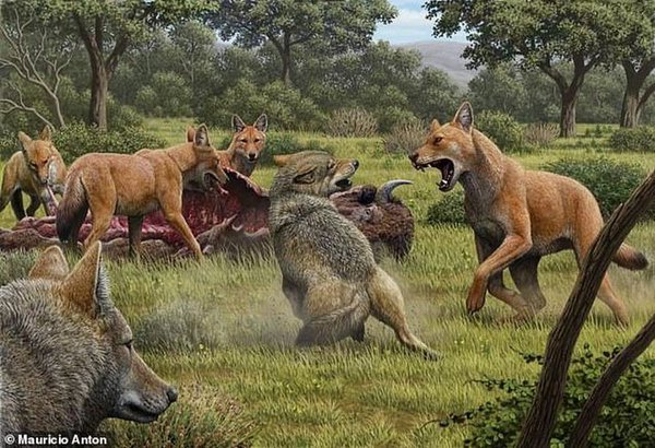 37960570-9143293-Artists_impression_of_an_ancient_scene_showing_two_grey_wolves_l-a-24_1610553123386.jpg (149.78 KiB) Просмотров: 2236 37960570-9143293-Artists_impression_of_an_ancient_scene_showing_two_grey_wolves_l-a-24_1610553123386.jpg