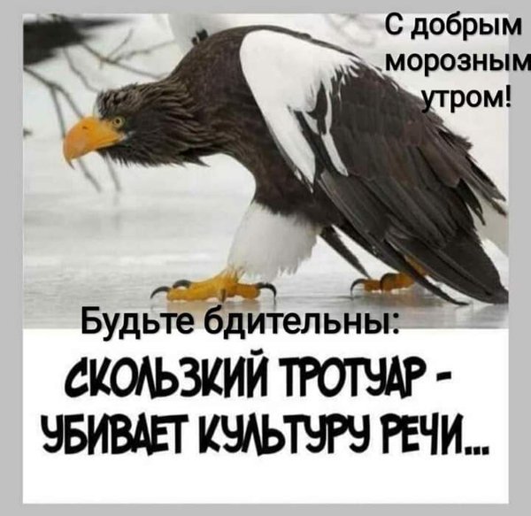 IMG-28b2a7110f7c67a8c097ee9aa7e5d025-V.jpg (43.6 KiB) Просмотров: 3927 IMG-28b2a7110f7c67a8c097ee9aa7e5d025-V.jpg