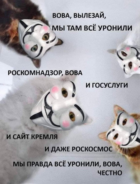 UoBaR01Skhb80DaHCIvAjrjzRy2MnU5xDj3hmEBK.jpeg (154.56 KiB) Просмотров: 5549 UoBaR01Skhb80DaHCIvAjrjzRy2MnU5xDj3hmEBK.jpeg