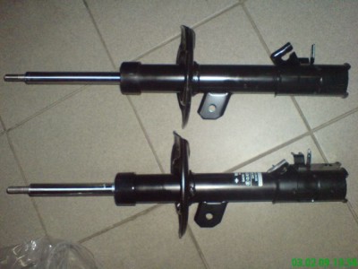 Аморики -вид лёжа..JPG (43.86 KiB) Просмотров: 3286 Аморики -вид лёжа..JPG