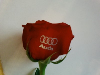 Троянда від Audi.jpg
