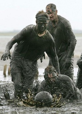 Поле сегодня не очень.jpg (47.83 KiB) Просмотров: 2527 Поле сегодня не очень.jpg