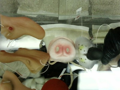 Пятачок - 2.jpg