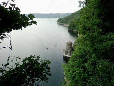 Выстроившиеся в затылок заливчики.jpg (155.2 KiB) Просмотров: 2852 Выстроившиеся в затылок заливчики.jpg