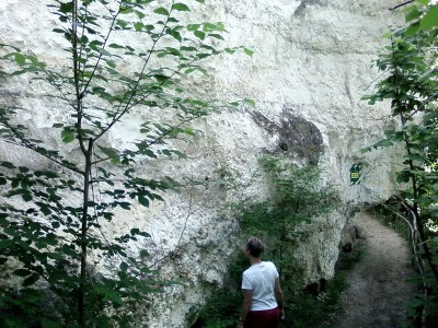 Меловая скала.jpg (240.05 KiB) Просмотров: 1231 Меловая скала.jpg