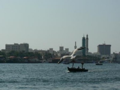 P1090422.JPG (21.63 KiB) Просмотров: 2221 P1090422.JPG