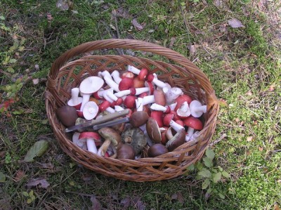 P7260043.JPG (193.09 KiB) Просмотров: 1917 P7260043.JPG